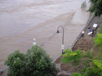 Journalist reporting on the flood while standing beneath the William Jolly Bridge, Brisbane, on 13 January 2011.