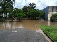 Creeping brown water in Scott St looking to Davies Park, Montague Rd West End. Photographer: @IanKath