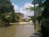 Back streets of New farm begin to flood