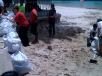 Sandbagging is underway to try and protect the South Bank beach