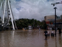 Much of South Bank is now flooded.