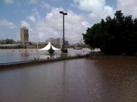 The river is now very high at South Bank